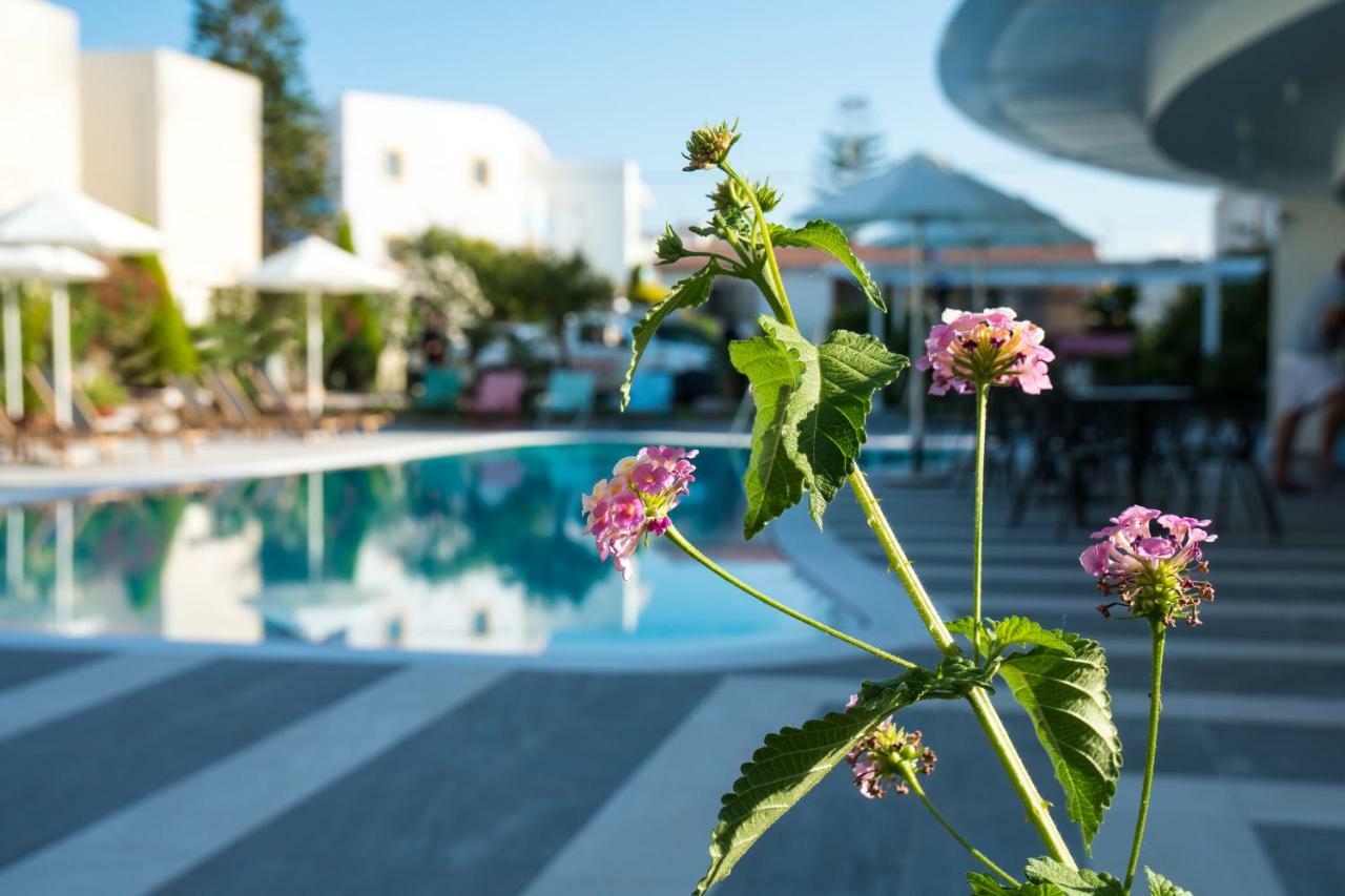 Evdokia Suites Gouves Exteriér fotografie